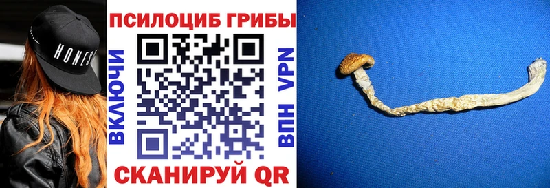 что такое   Плавск  Псилоцибиновые грибы GOLDEN TEACHER 